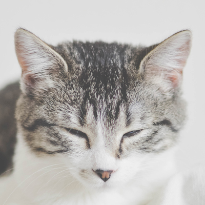 传统行业的信息化需要尽早做好规划， 企业普遍经营压力大，所以数字化...